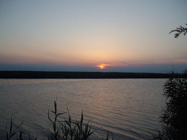 Doar ... NATURA - 4 - sany0864.JPG